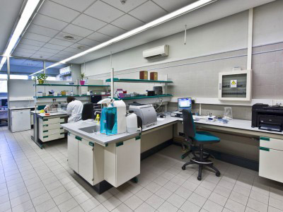 Unidad de Biología Molecular